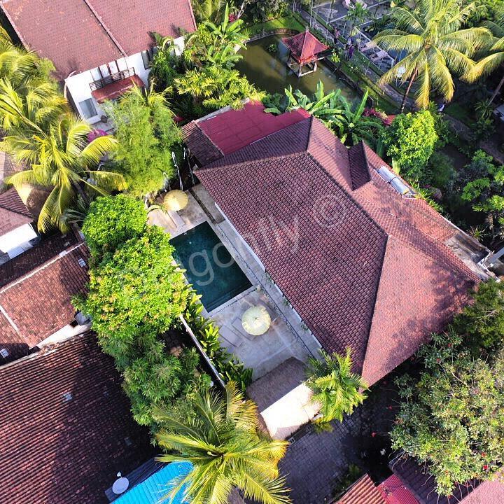 The Royal Palm Villa Ubud  Exterior photo